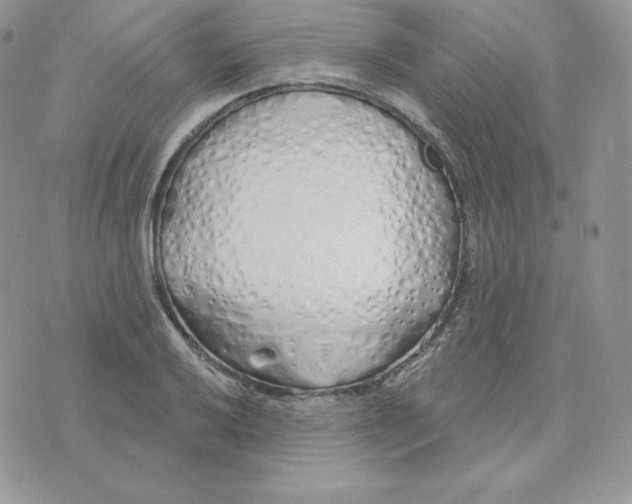 X0000075401032200609291636