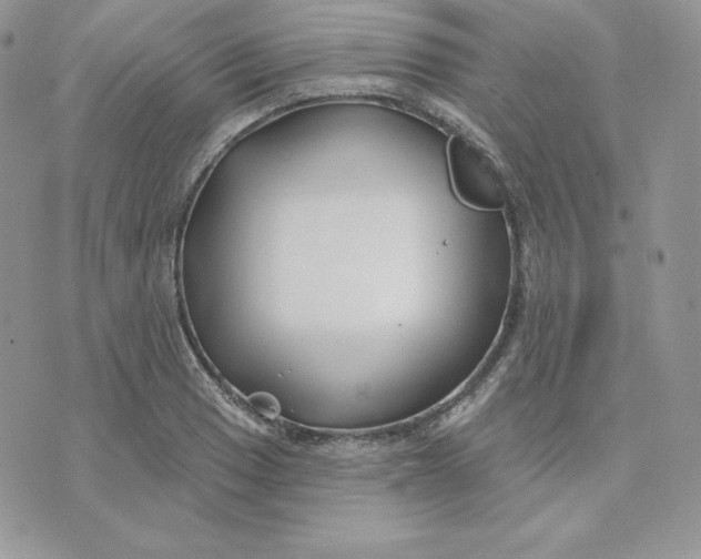 X0000075401033200609291636