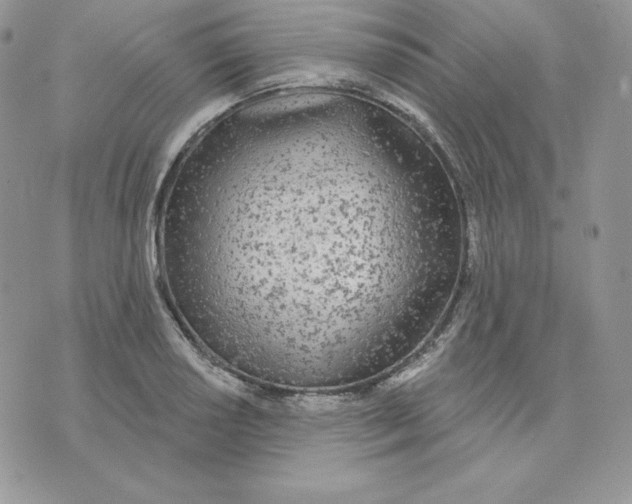 X0000075401034200609291636