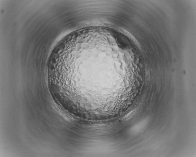 X0000075401035200609291636