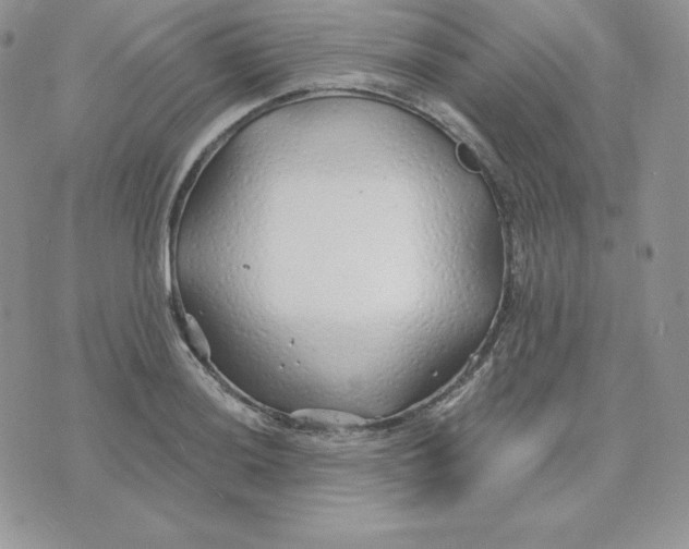 X0000075401036200609291636