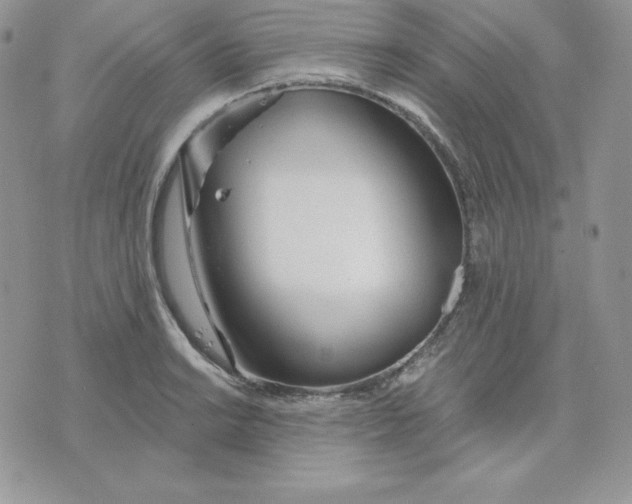 X0000075401038200609291636