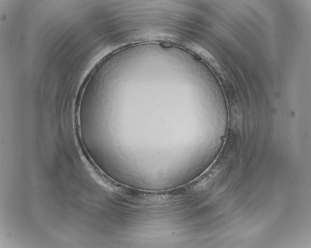 X0000075401039200609291636