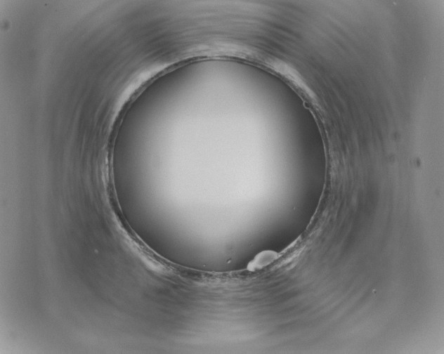 X0000075401040200609291636