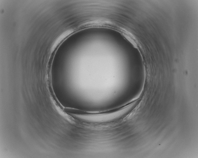 X0000075401042200609291636