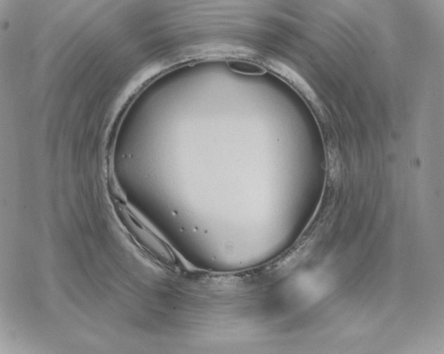 X0000075401043200609291636