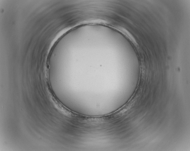 X0000075401044200609291636