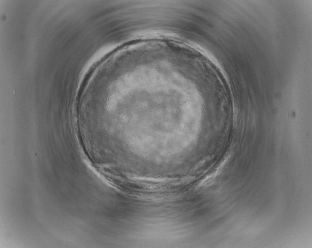 X0000075401045200609291636