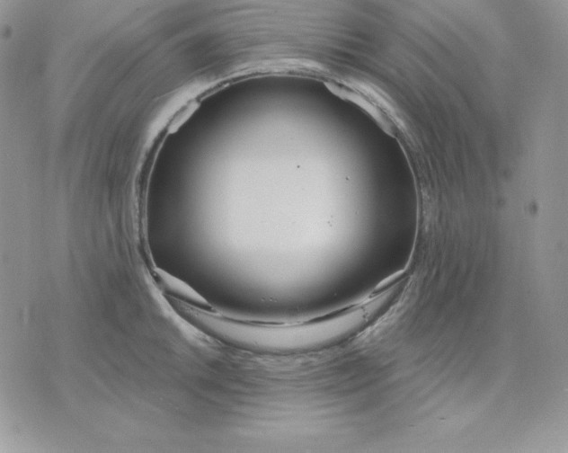 X0000075401046200609291636