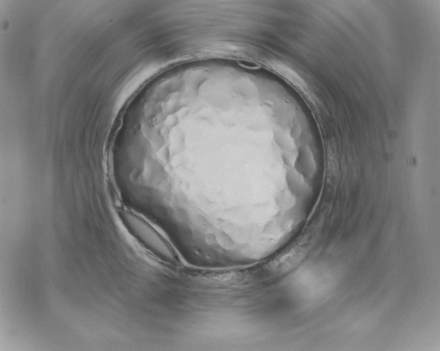 X0000075401047200609291636