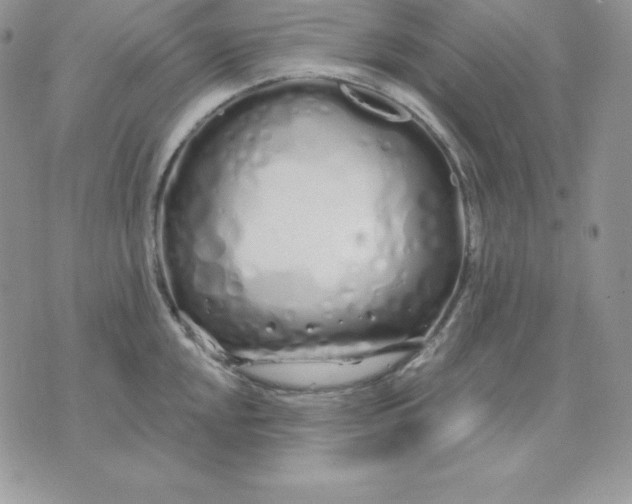 X0000075401048200609291636