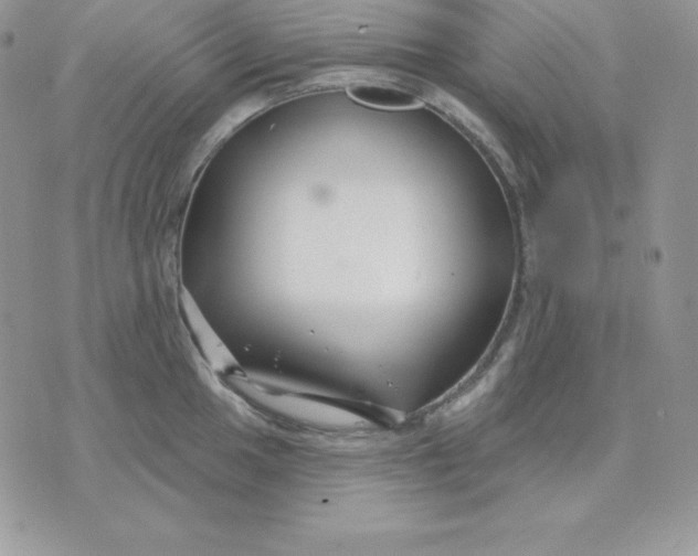 X0000075401049200609291636