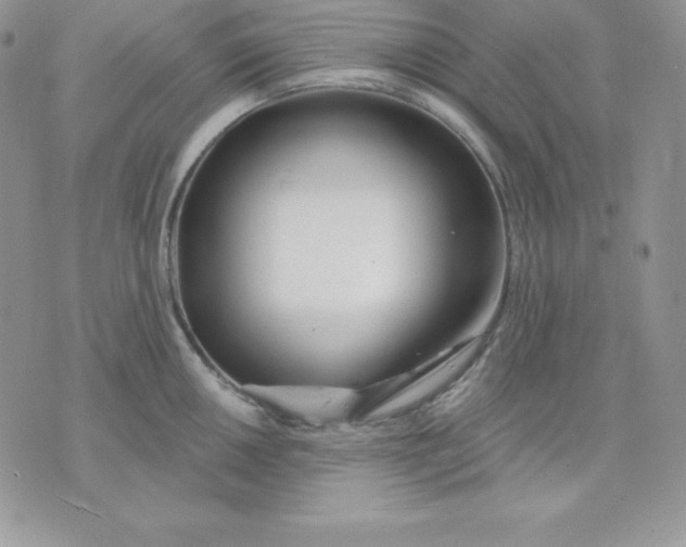 X0000075401050200609291636