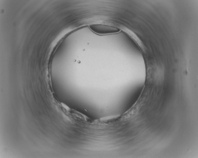 X0000075401051200609291636