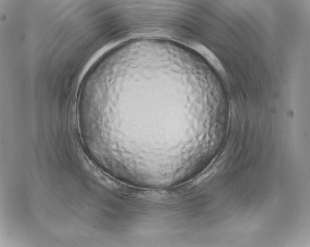 X0000075401052200609291636