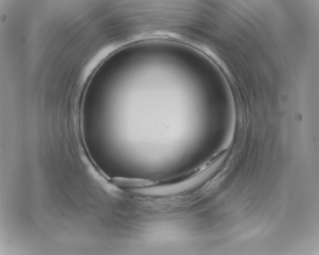 X0000075401054200609291636