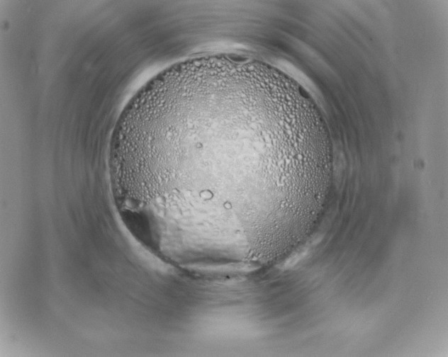 X0000075401055200609291636