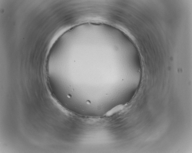 X0000075401056200609291636