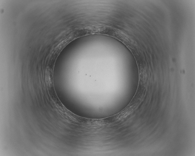 X0000075401058200609291636