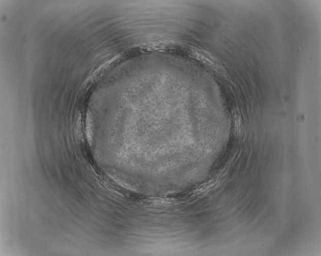 X0000075401060200609291636