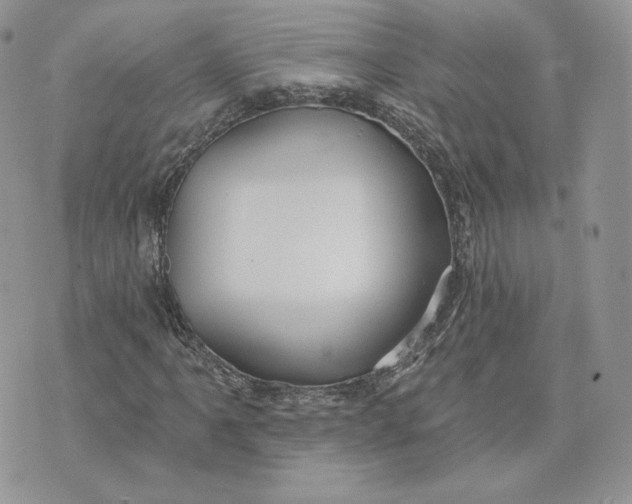 X0000075401061200609291636