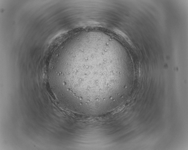 X0000075401063200609291635