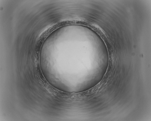 X0000075401064200609291635