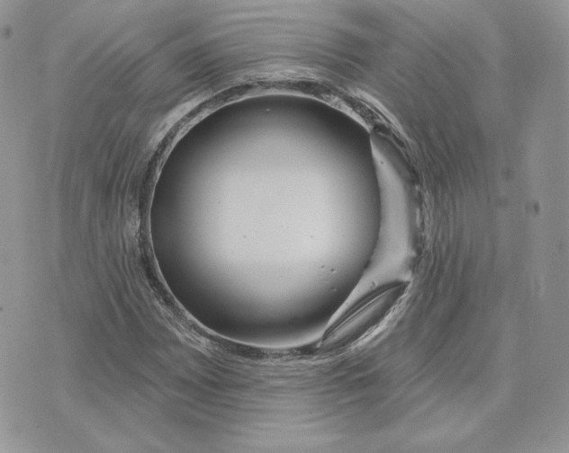 X0000075401065200609291635