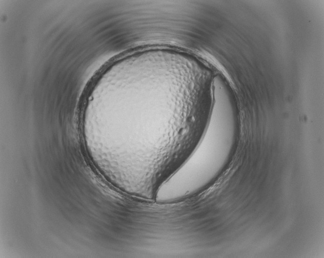 X0000075401068200609291635