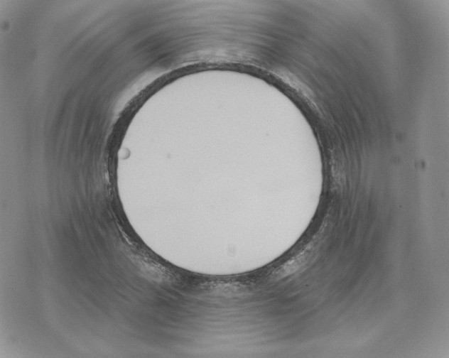 X0000075401070200609291635