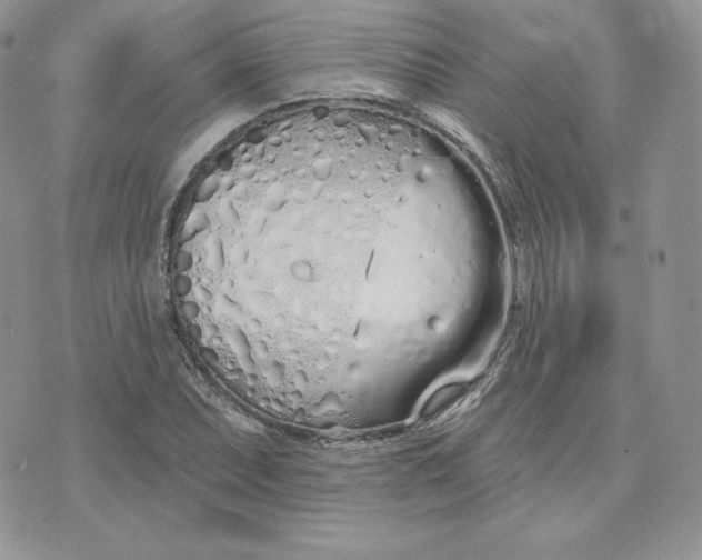 X0000075401071200609291635