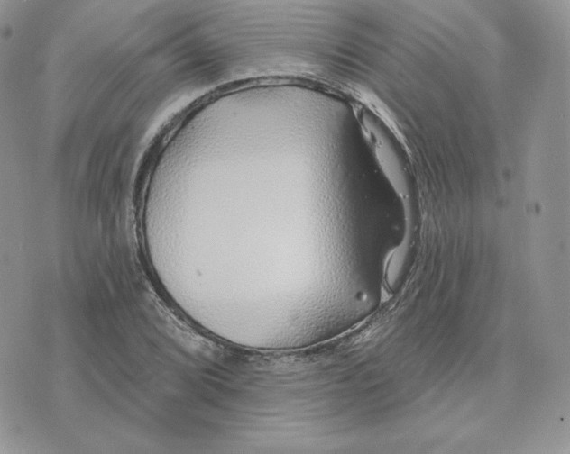 X0000075401072200609291635