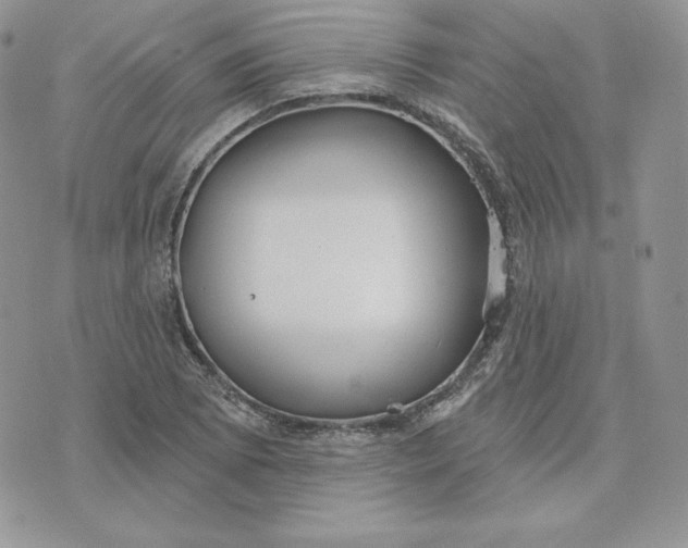 X0000075401073200609291635