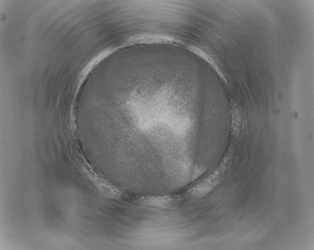 X0000075401074200609291635