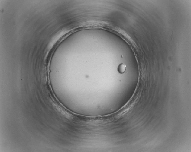 X0000075401075200609291635