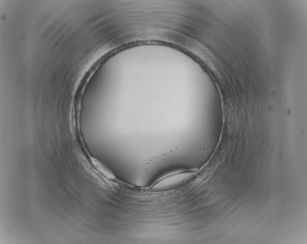 X0000075401076200609291635