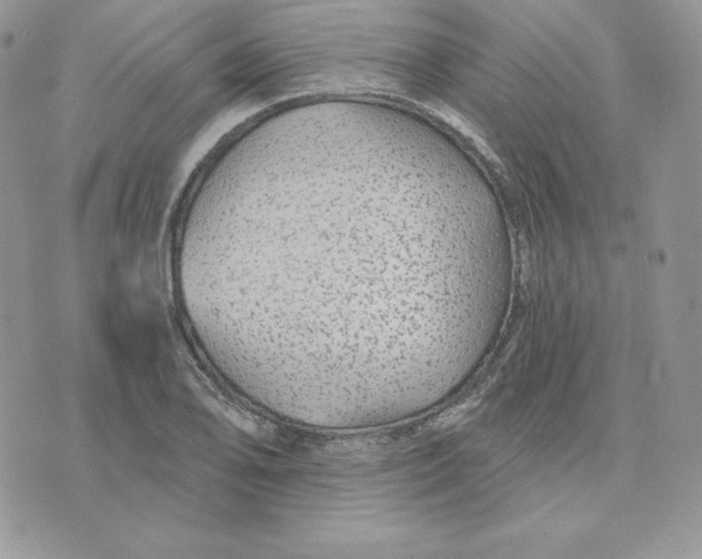 X0000075401078200609291635