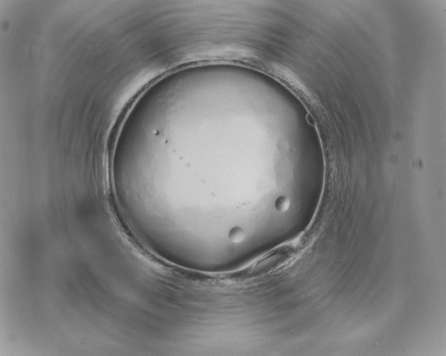 X0000075401079200609291635