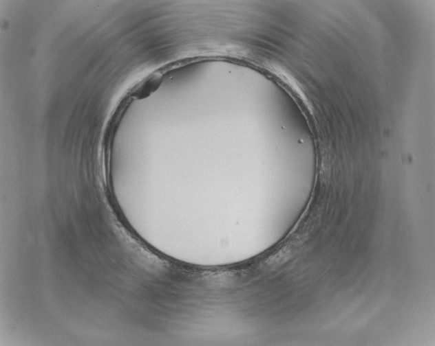 X0000075401080200609291635