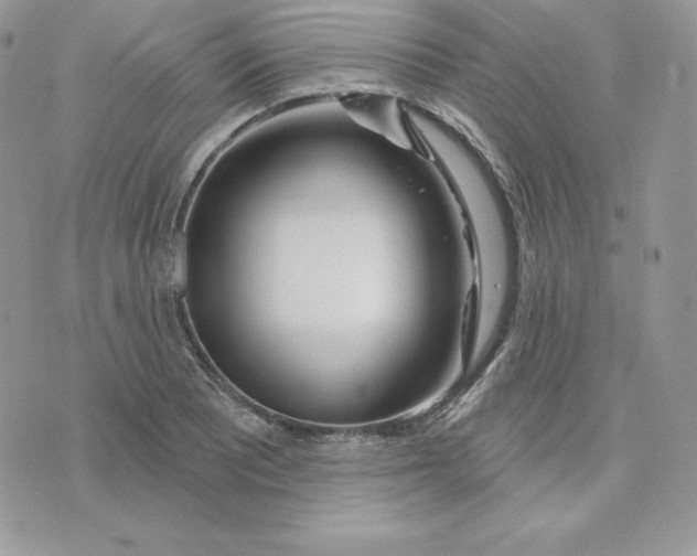 X0000075401081200609291635