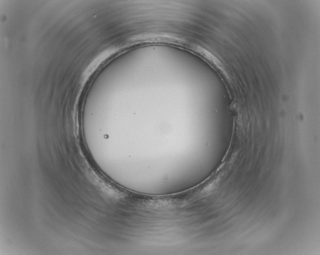 X0000075401082200609291635