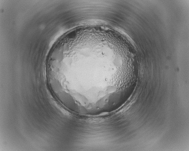 X0000075401083200609291635