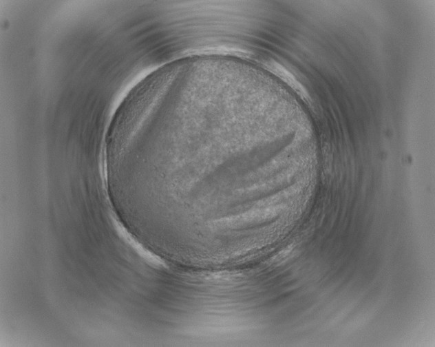 X0000075401084200609291635