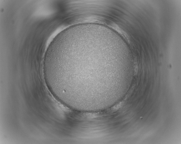 X0000075401086200609291635