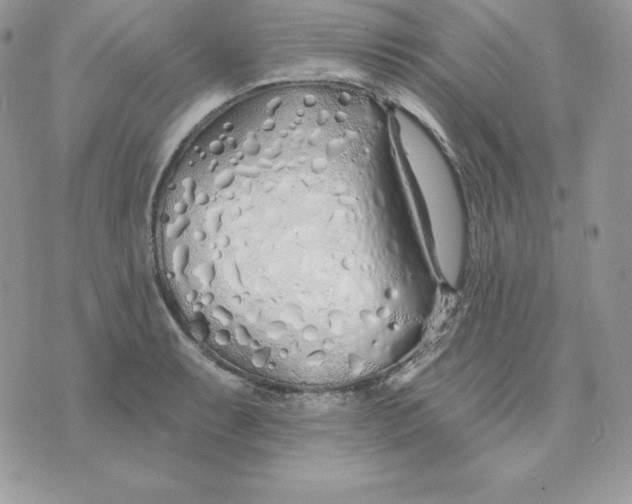 X0000075401087200609291635