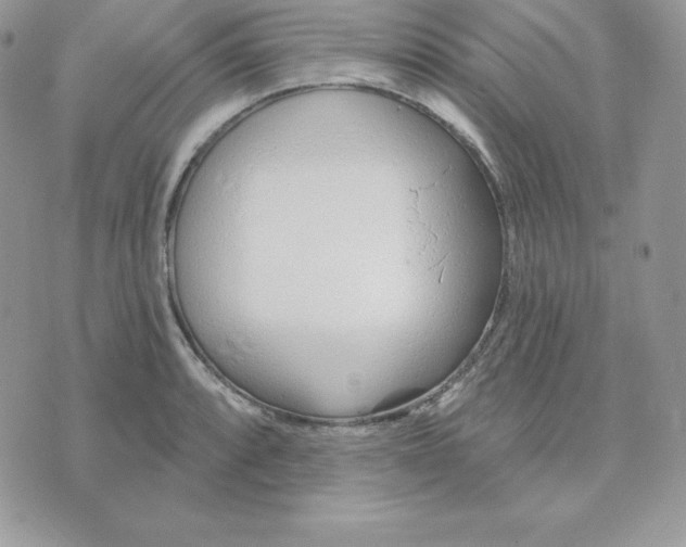 X0000075401088200609291635