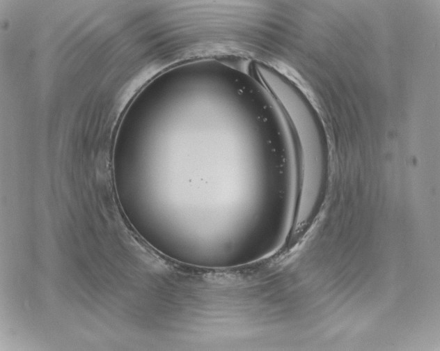 X0000075401089200609291635