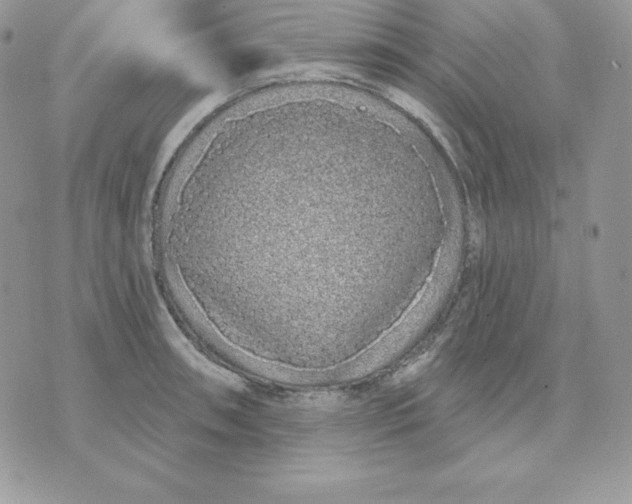 X0000075401090200609291635