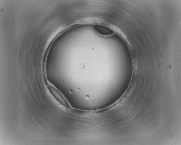 X0000075401091200609291635