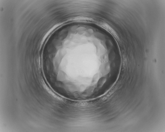 X0000075401092200609291635